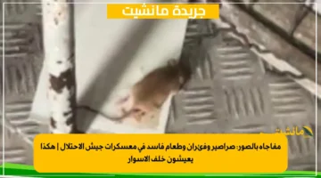 مفاجأة بالصور صراصير وفئران وطعام فاسد في معسكرات جيش الاحتلال هكذا يعيشون خلف الأسوار 1